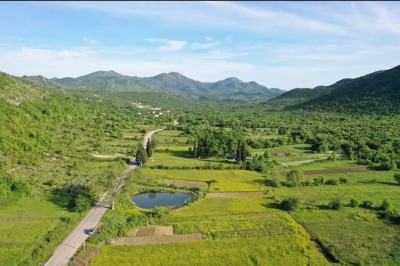 WhatsApp Image 2025-08-07 at 14.39.36 (1).jpeg